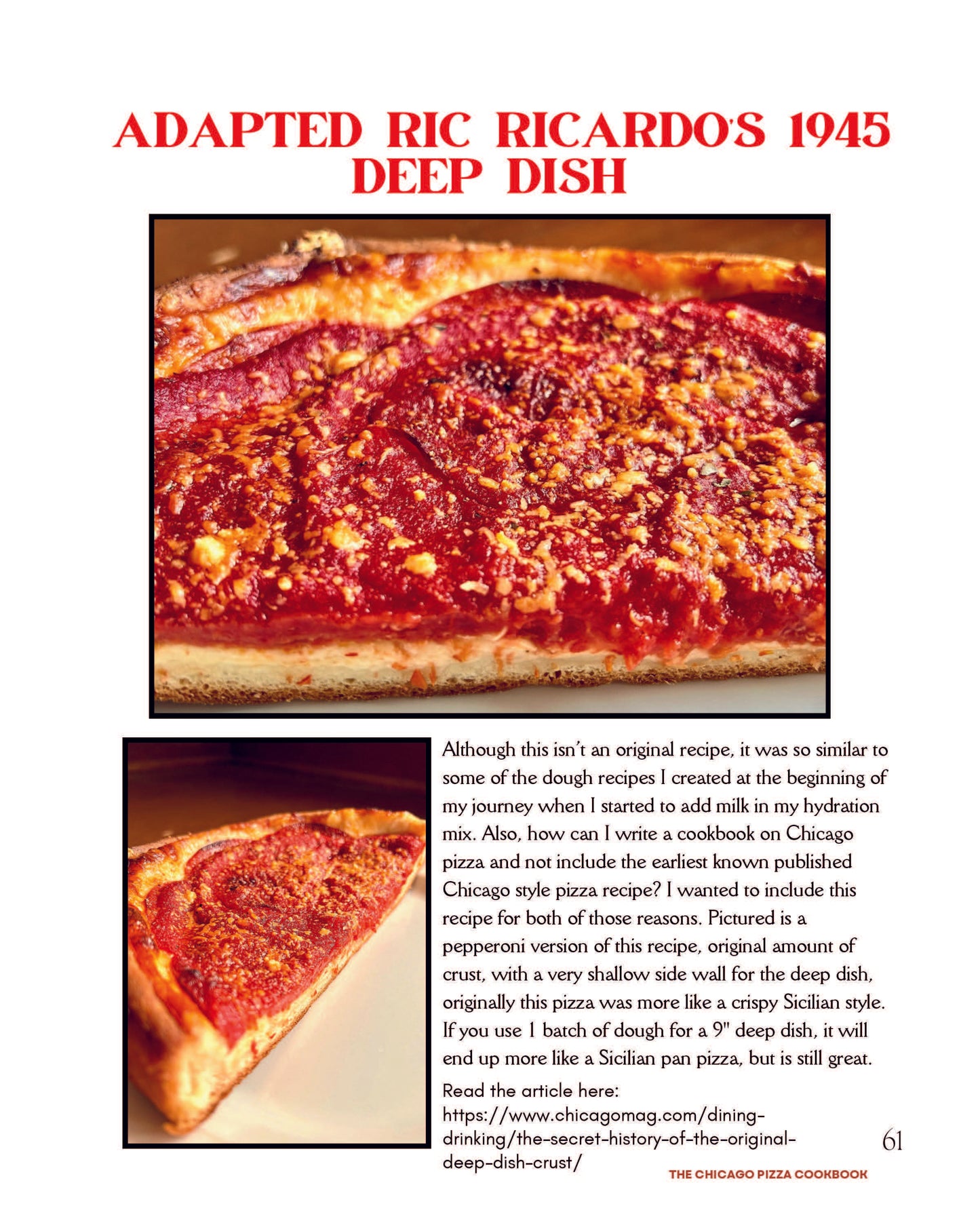 The Chicago Pizza Cookbook PDF download